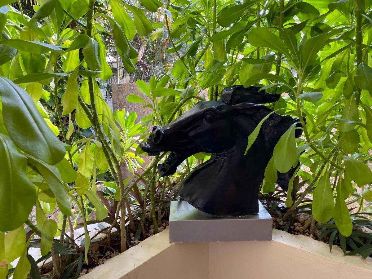 Casarte Boutique Hotel 普拉亚卡门 外观 照片